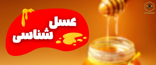 عسل شناسی