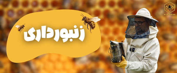 زنبورداری